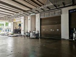 North Spring Bizhub (D27), Factory #565844051
